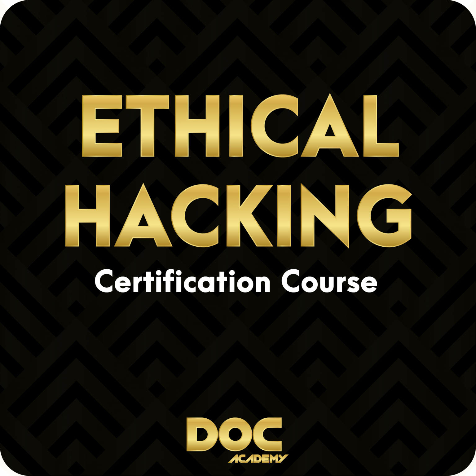 Ethical Hacking Certification Course DOC Academy